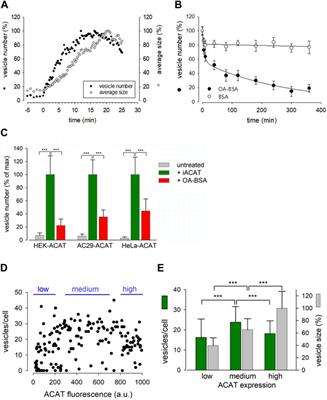 Reversible translocation of acyl-CoA:cholesterol acyltransferase (ACAT) between the endoplasmic reticulum and vesicular structures